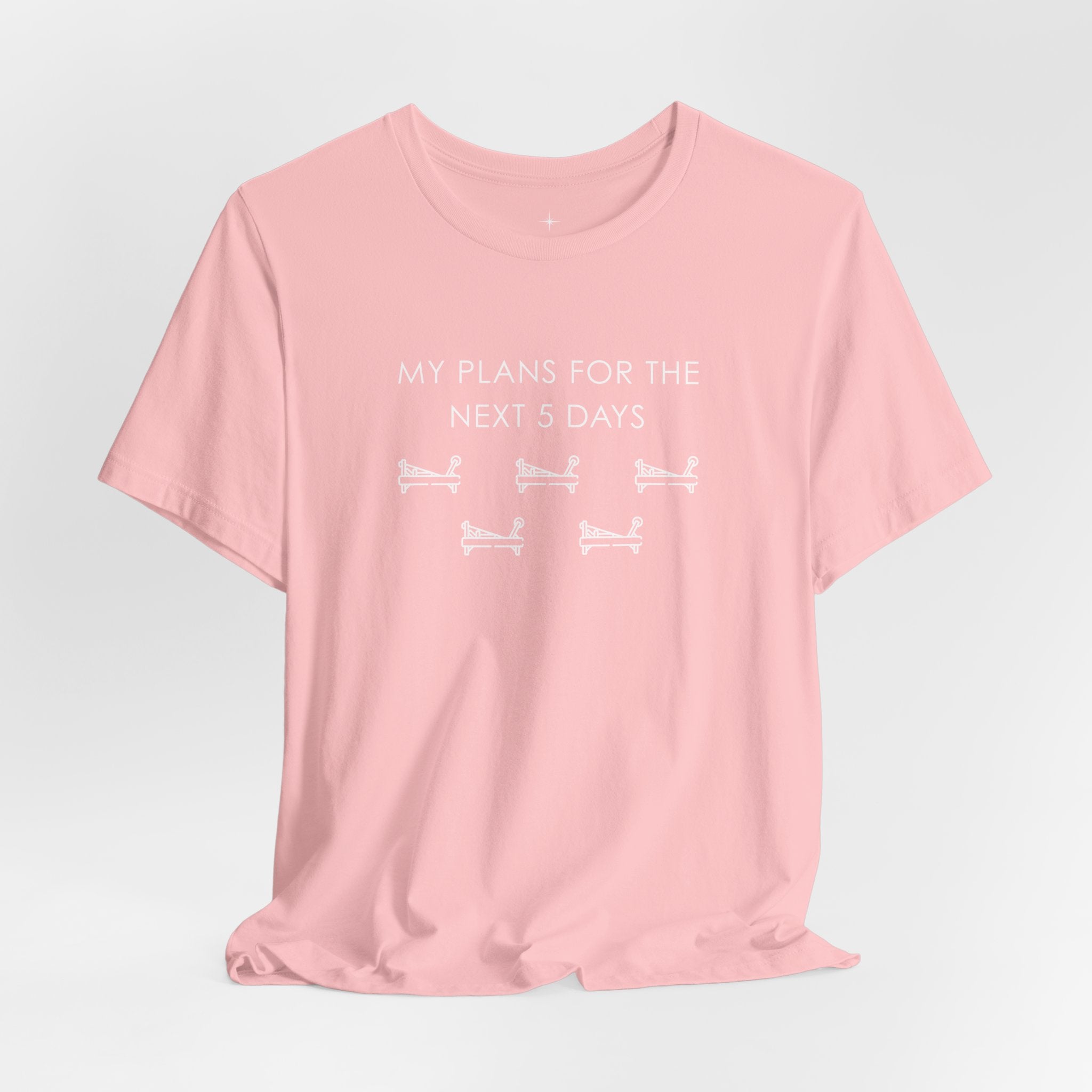 T-Shirt — "My Plans for the Next 5 Days" Sleeping Dog Graphic Tee