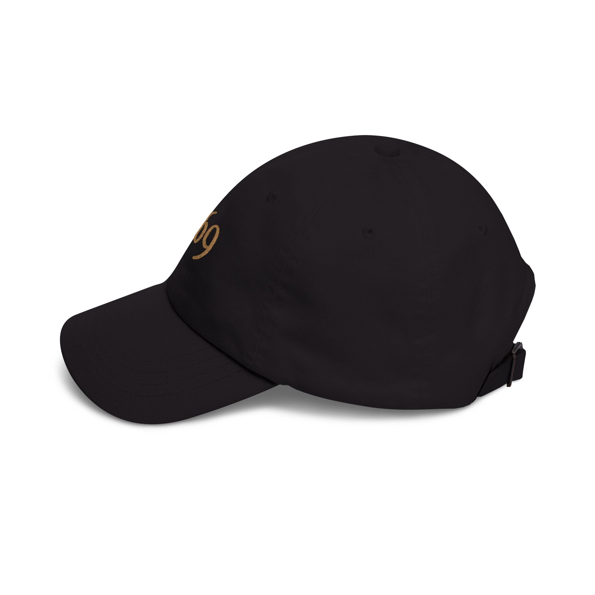 3-6-9 Manifesting Code Dad Cap